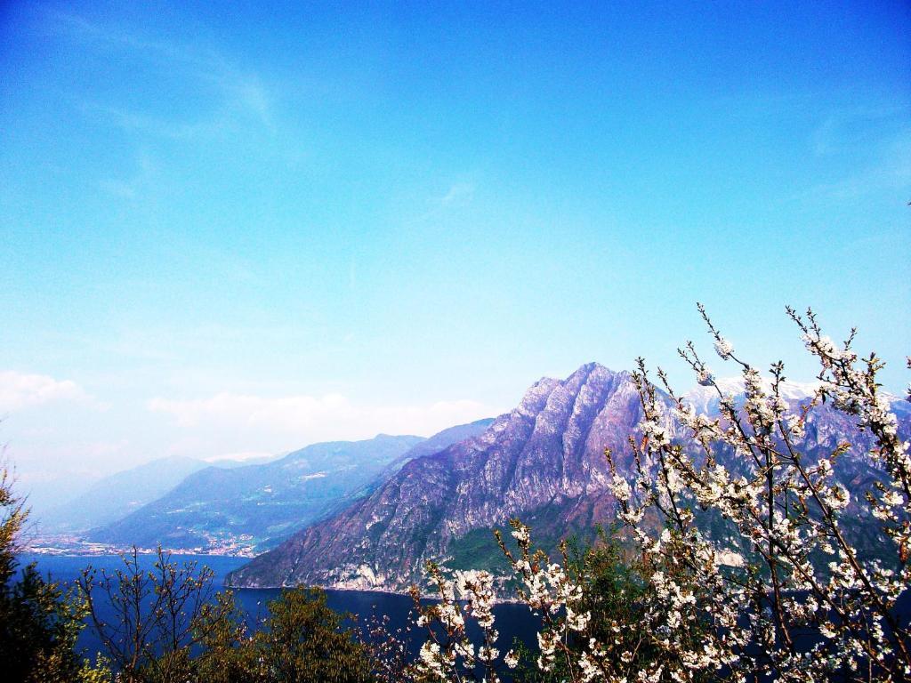 Hotel Poggio D'Oro Riva di Solto Luaran gambar